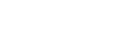 NetCash Inc White NetCash Inc White